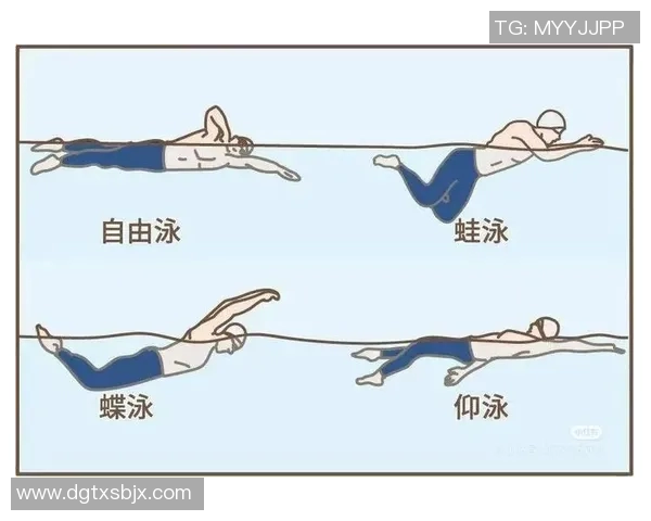掌握自由泳技巧 提升游泳速度与效率的全方位训练指南